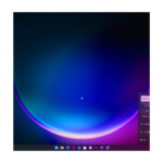 Windows 11 Pro 2024 destok